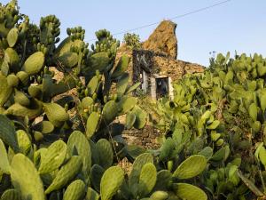 ruderi-medievali-e-casa-contadina